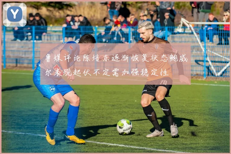 鲁媒评论陈培东逐渐恢复状态鲍威尔表现起伏不定需加强稳定性