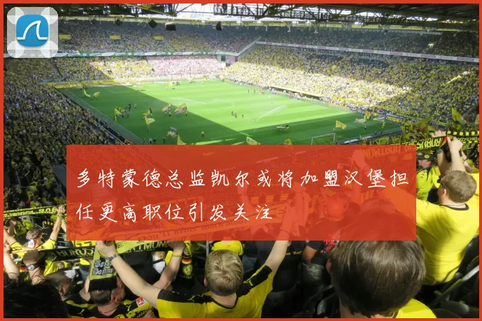 多特蒙德总监凯尔或将加盟汉堡担任更高职位引发关注