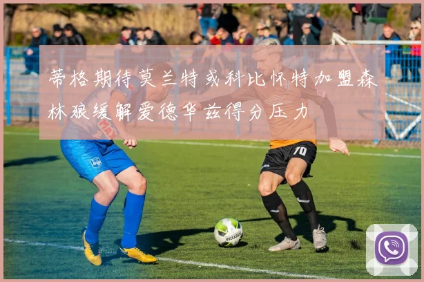 蒂格期待莫兰特或科比怀特加盟森林狼缓解爱德华兹得分压力